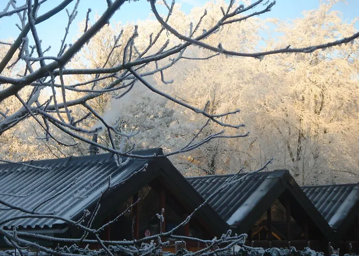 Motel Motel Oostvoorne Oostvoorne